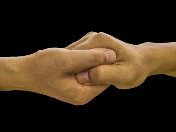 Kaszinó Fortune Panda Támogatás